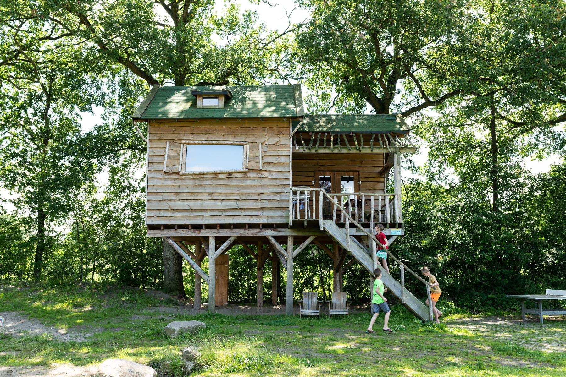 Boomhut