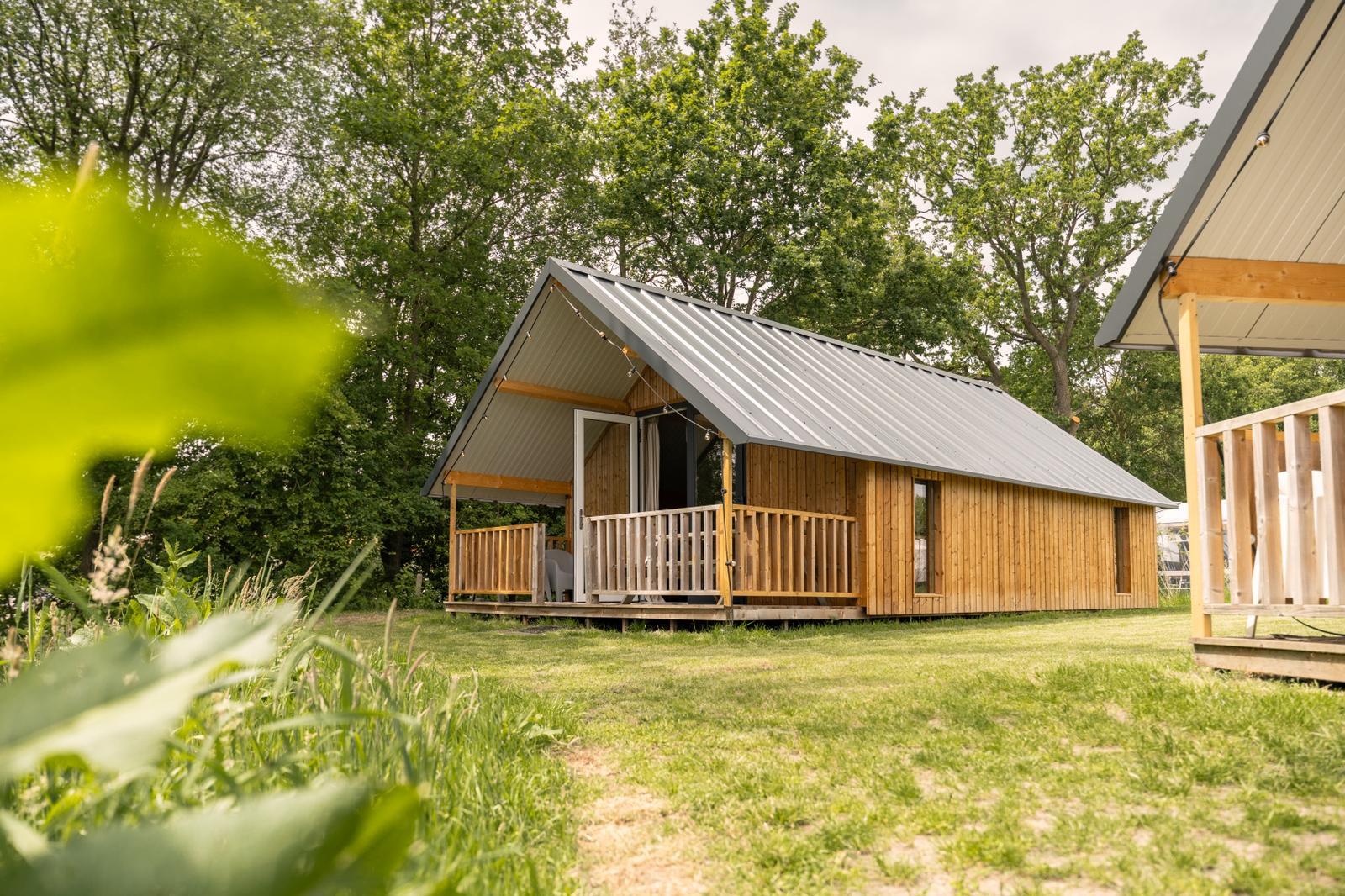 tenda safari