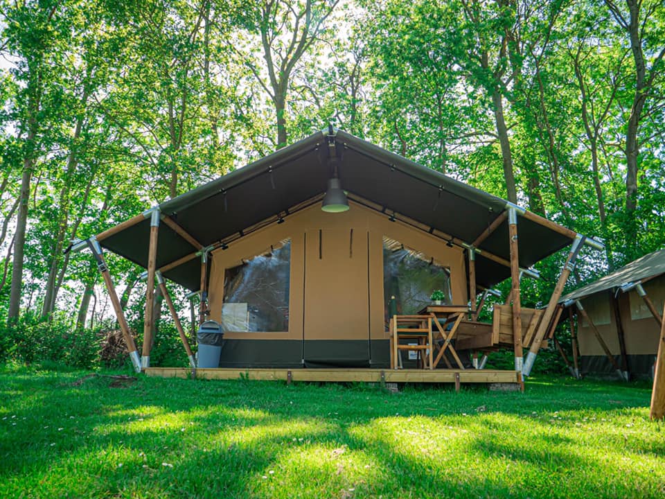 Camping de Tolbrug - Lodge Compact 4 personen