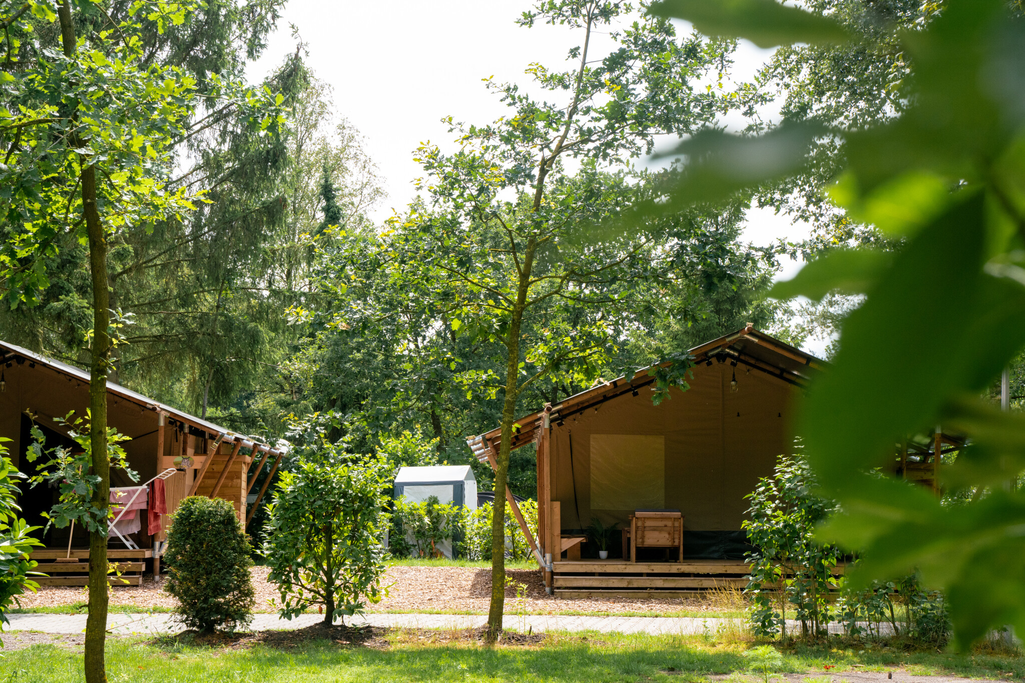 Camping de Zeven Heuveltjes - Safarizelt für 4 Personen inkl. Sanitäranlagen