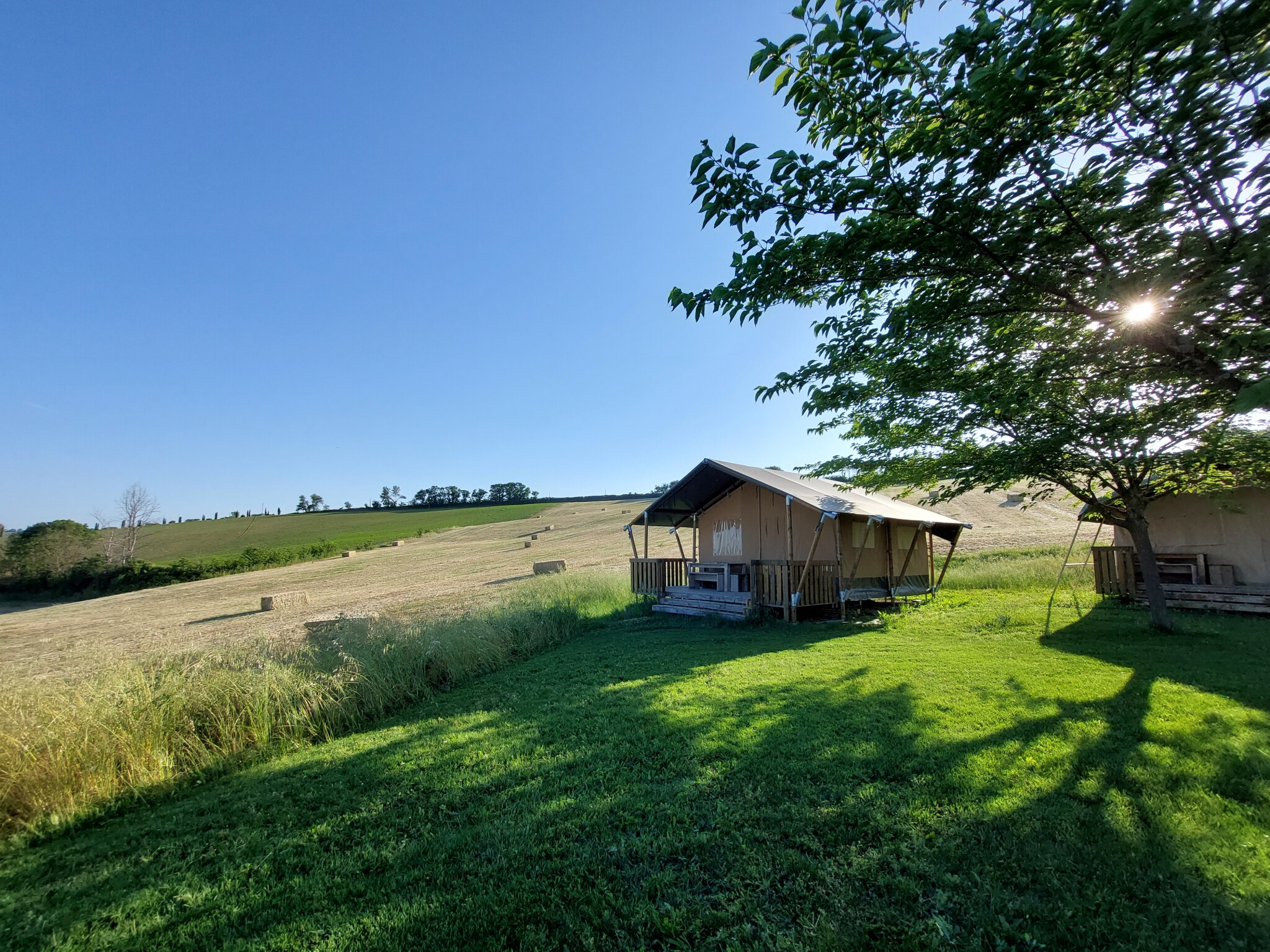 Tenuta Tredici Ulivi - Safari Tent for 4 people including sanitary facilities