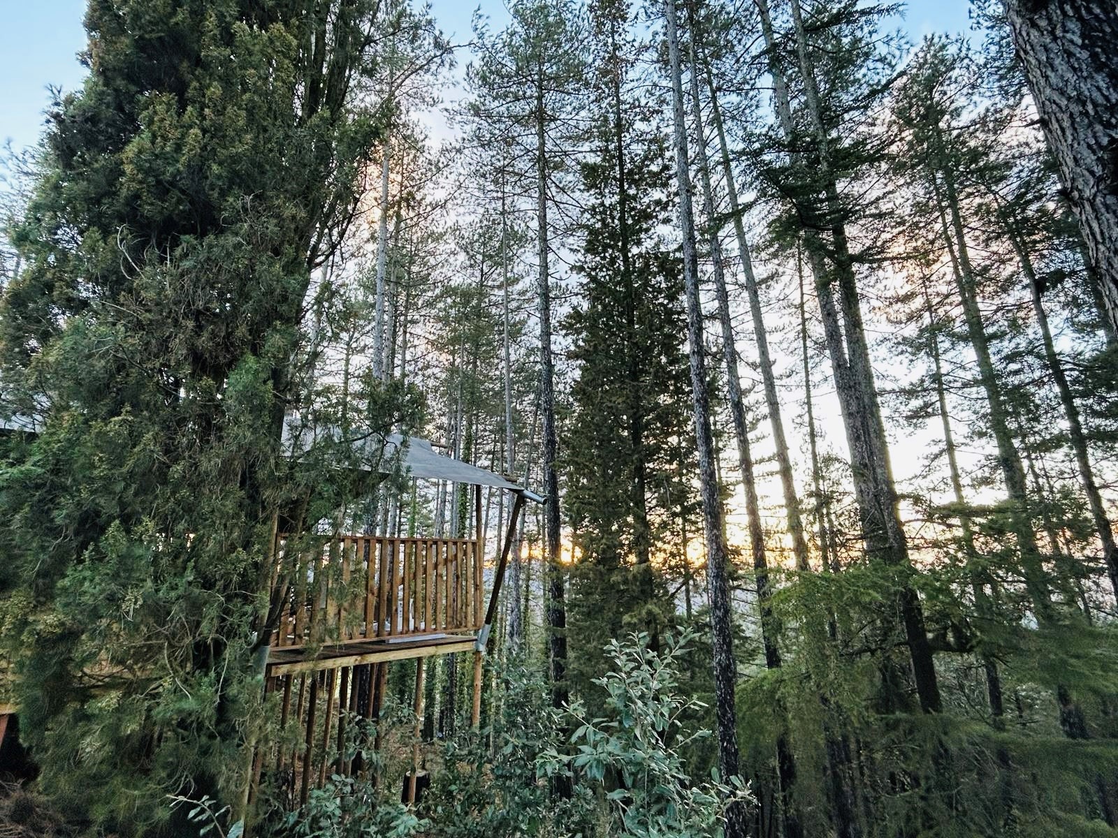 Camping Luna del Monte - Safarizelt 6 Personen WALD