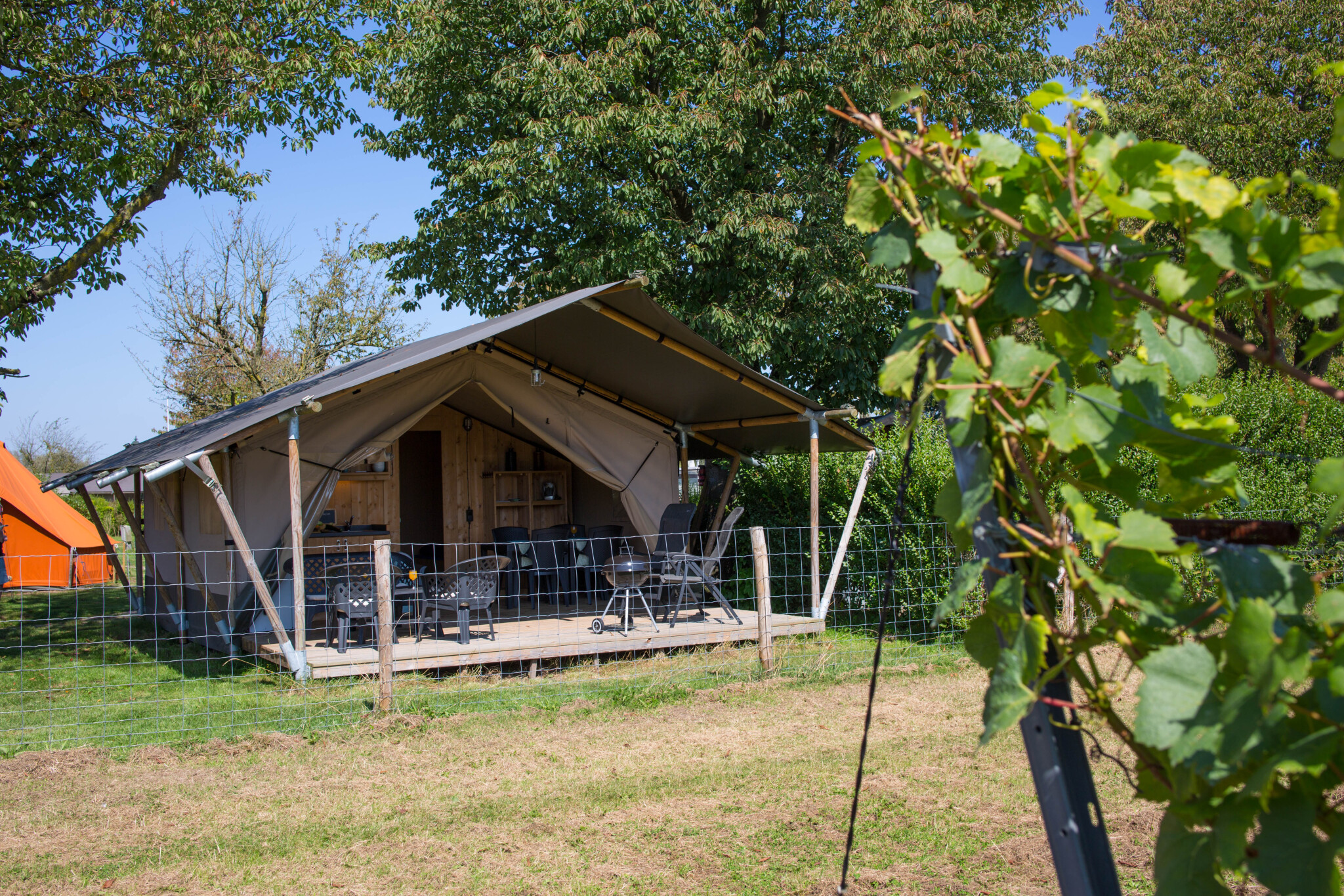 Camping de Boomgaard - Safaritent 4 personen incl. sanitair