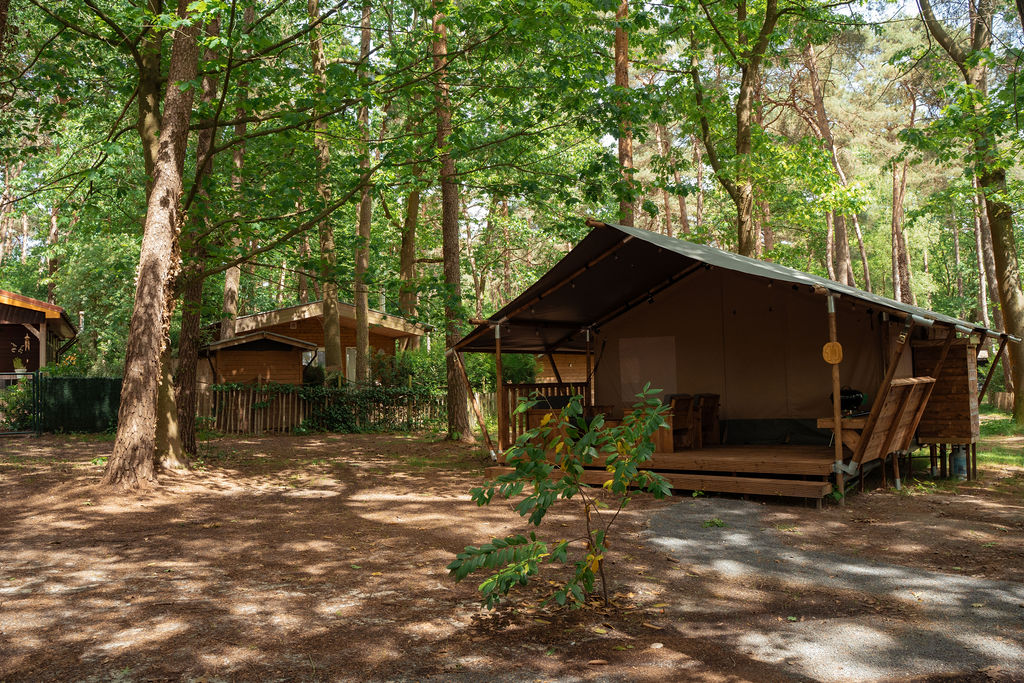 Jocomo Parc - Forest Lodge 4 personen incl. sanitair