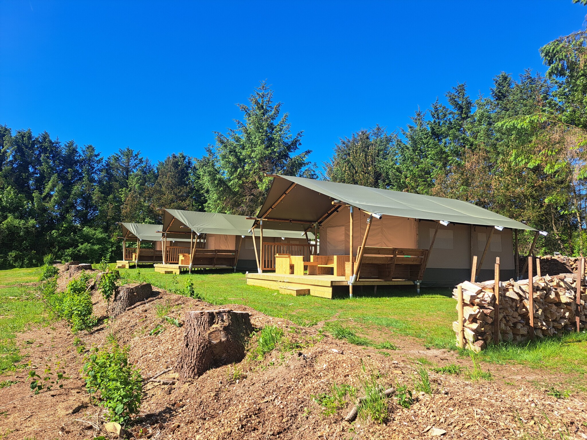Glyngore Camping - Safaritent voor 5 personen