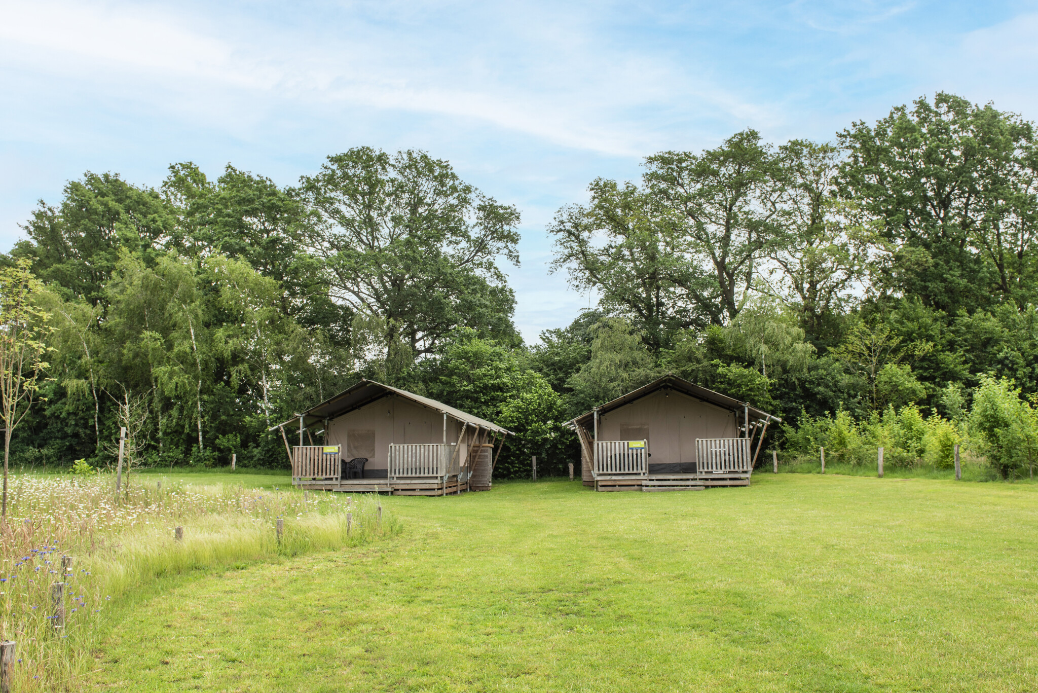 Camping Dal van de Mosbeek - Safaritent 5 personen incl. sanitair