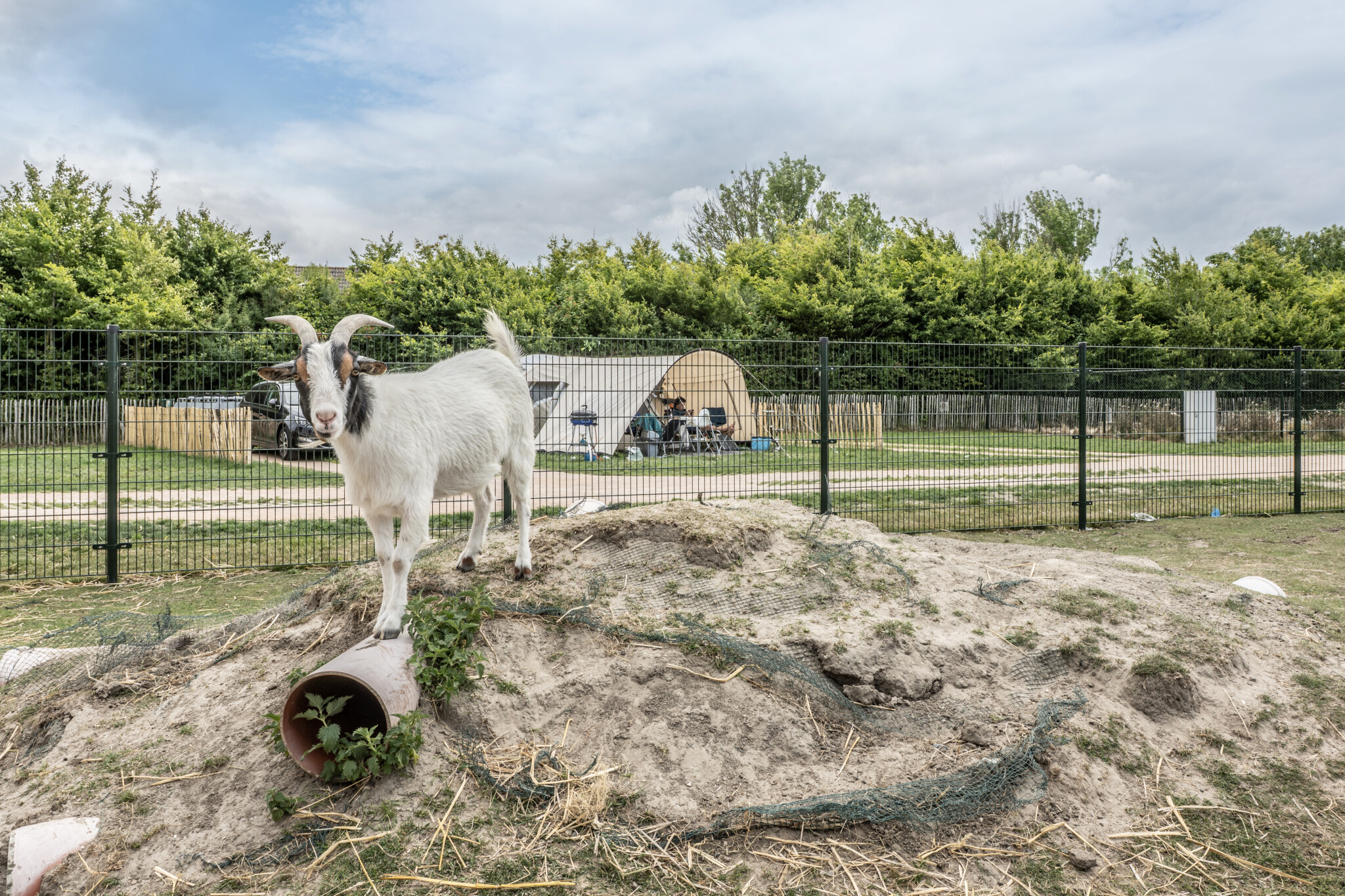 Camperplatz bei Kinderboerderij